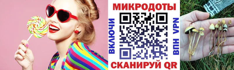 Псилоцибиновые грибы прущие грибы где продают Чишмы